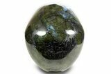 Realistic, Shimmering Labradorite Skull - Madagascar #378719-5